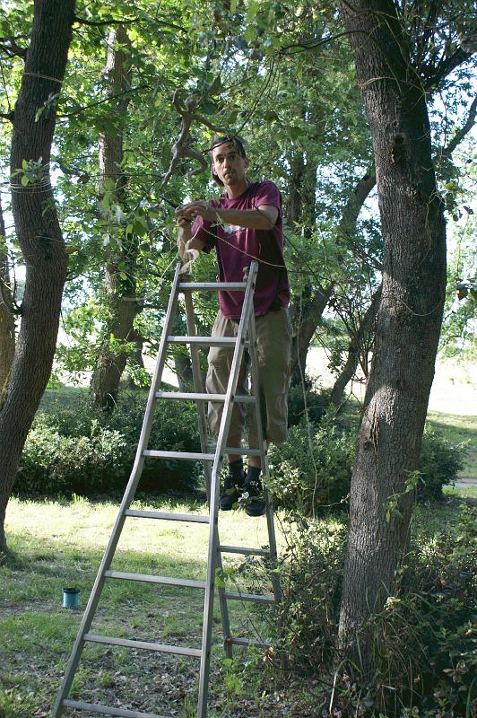 CEF 2008 Fouras A Installation_005.jpg